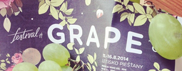 Ján Trstenský (Grape festival): La Roux jsme vyjednávali tři roky
