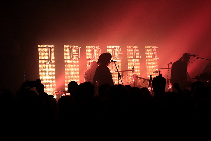 LIVE: Džungle zvuků a energie s Jungle