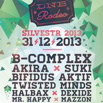 Kam letos na Silvestra?