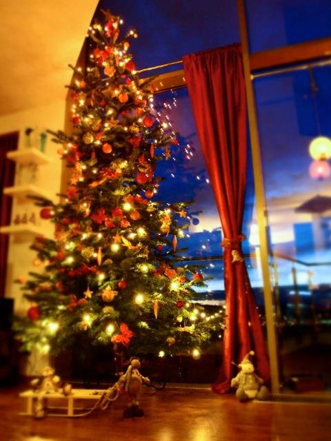 ROCKBLOG - Misha: Môj gigantický vianočný strom