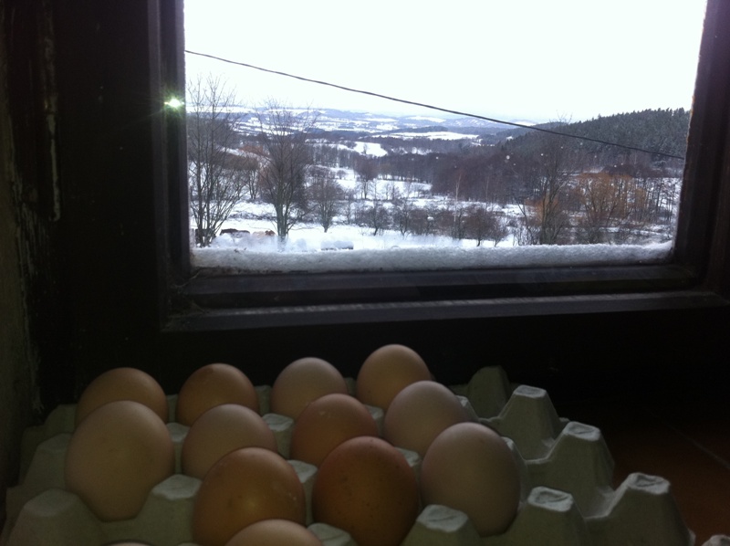 ROCKBLOG - Klára Vytisková: Nahrávací gastro