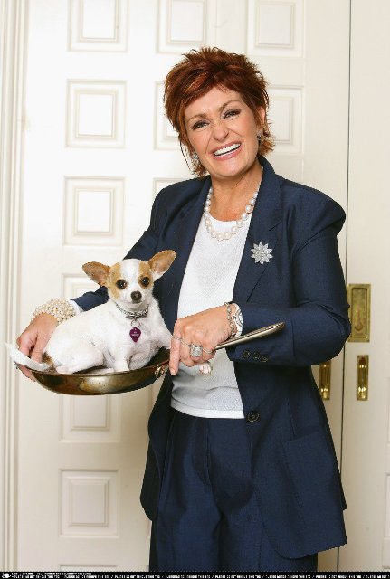 Rockové manželky: Jedeme dál... A někdy taky ne