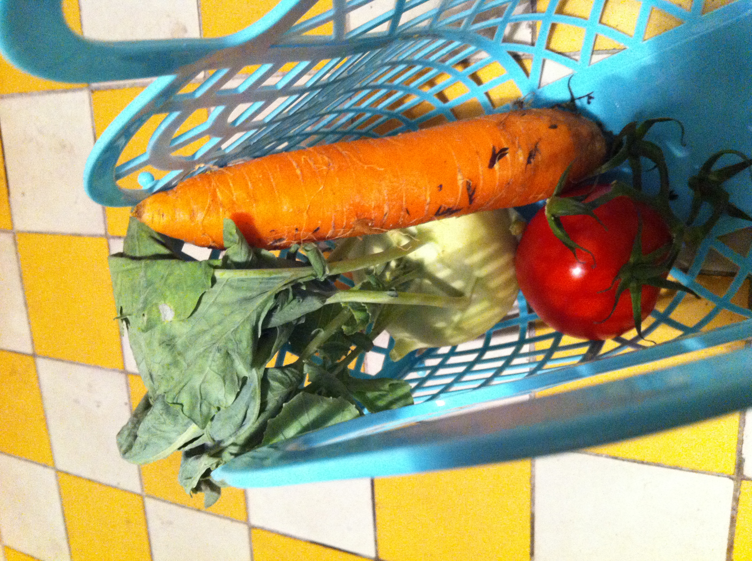 Klára Vytisková: Konec světa s bonusem (recept na zeleninovou polévku)