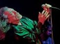 LIVE: Robert Plant uhranul Brno jako šaman