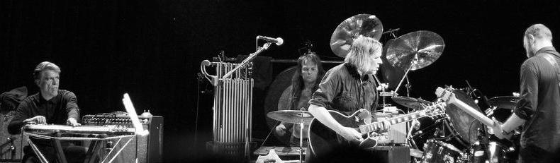 LIVE: Swans roztáhli nad Prahou svá černá křídla 