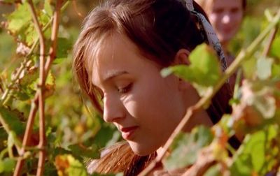 Bobule - aneb nevinně o víně na DVD