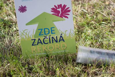 Kelímky poslouží jako dlažba