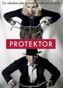 Protektor na DVD