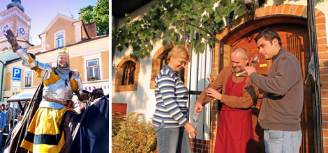 Pálavské vinobraní v Mikulově