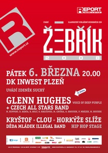 Nominace na Žebřík 2008