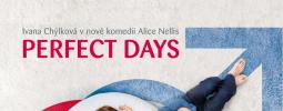 DVD PERFECT DAYS