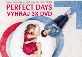 DVD PERFECT DAYS