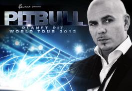 Pitbull