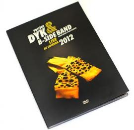 Vojtěch Dyk & B-Side Band