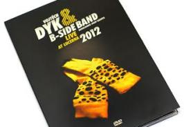 Vojtěch Dyk & B-Side Band