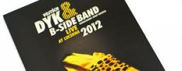 Vojtěch Dyk & B-Side Band