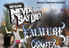 Never Say Die Tour