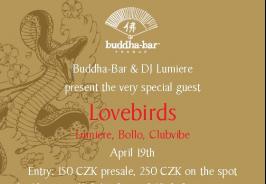 Loverbirds @ Buddha Bar
